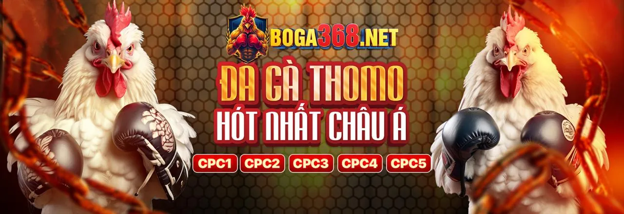 Hình ảnh trách nhiệm cá cược tại Loto66