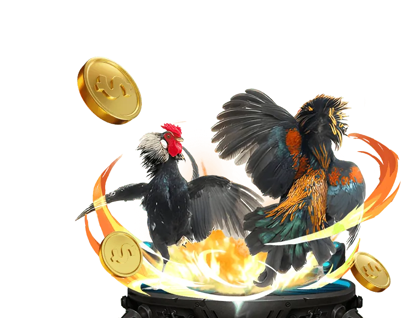 Đá gà truyền thống